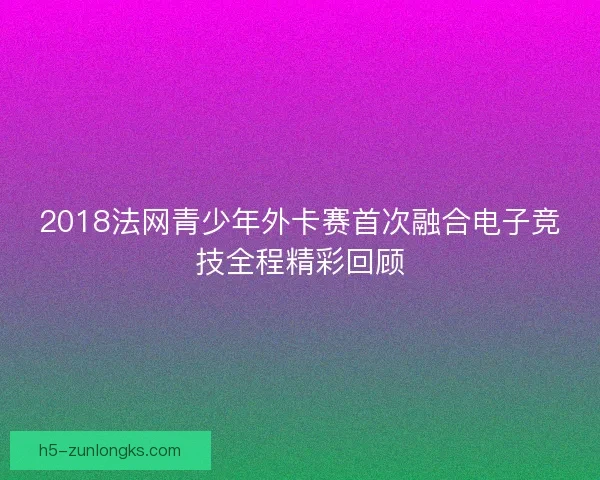2018法网青少年外卡赛首次融合电子竞技全程精彩回顾